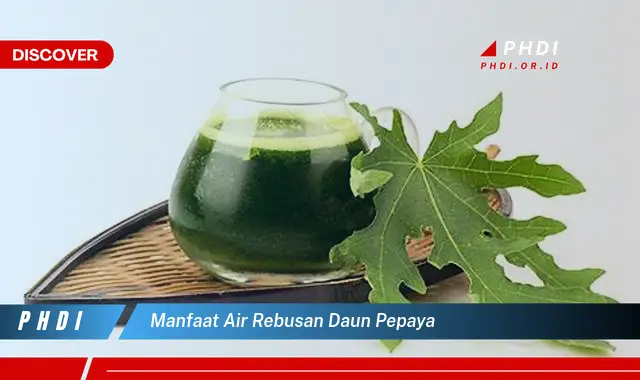 manfaat air rebusan daun pepaya