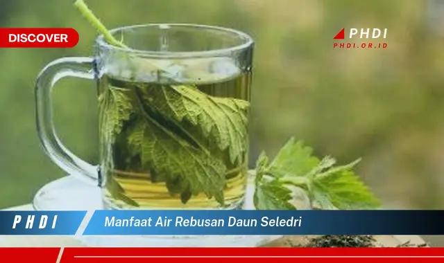 manfaat air rebusan daun seledri