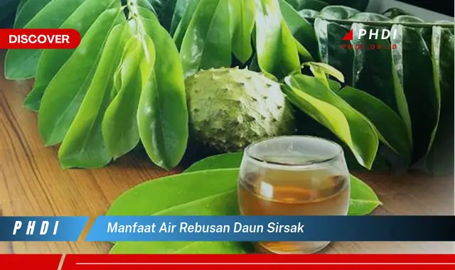 manfaat air rebusan daun sirsak