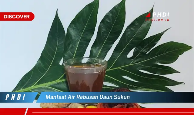 manfaat air rebusan daun sukun