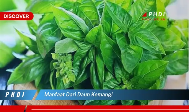 manfaat dari daun kemangi