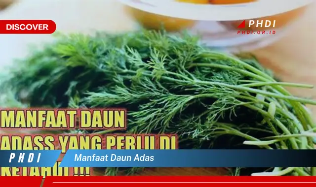 manfaat daun adas