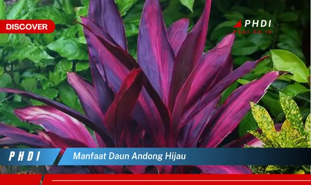 manfaat daun andong hijau