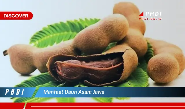 manfaat daun asam jawa