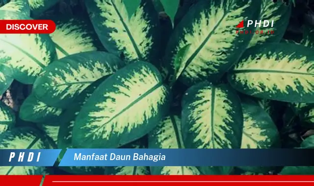 manfaat daun bahagia