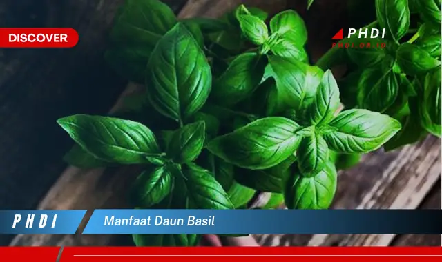 manfaat daun basil