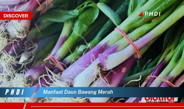 manfaat daun bawang merah