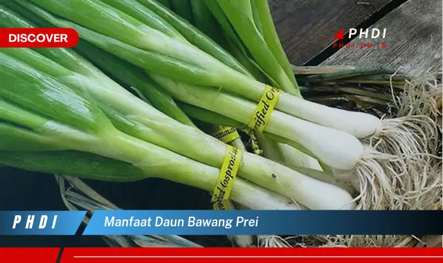 manfaat daun bawang prei