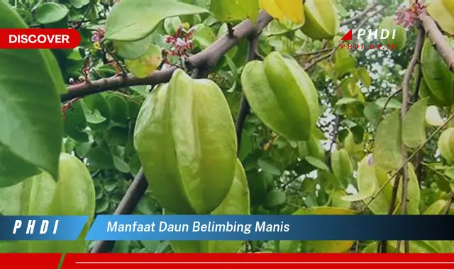 manfaat daun belimbing manis