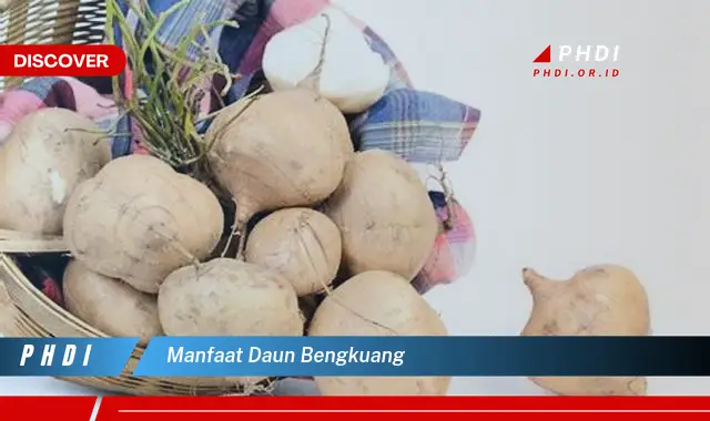 manfaat daun bengkuang