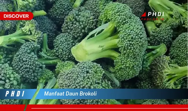 manfaat daun brokoli