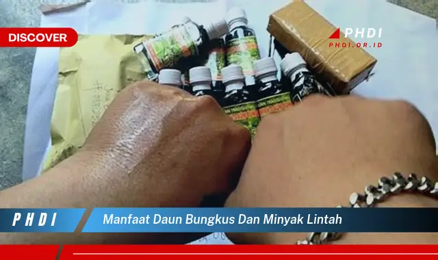 manfaat daun bungkus dan minyak lintah