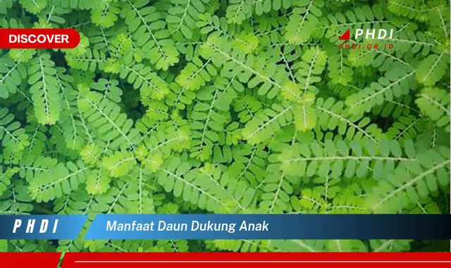 manfaat daun dukung anak