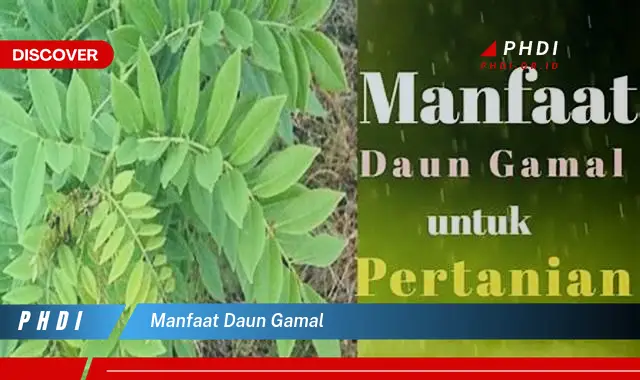 manfaat daun gamal