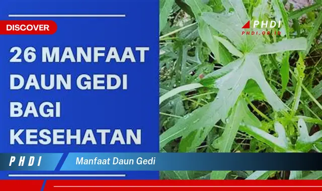 manfaat daun gedi