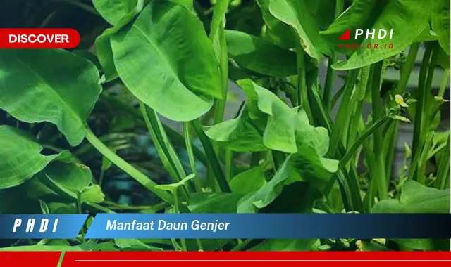 manfaat daun genjer