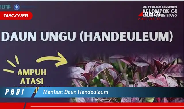 manfaat daun handeuleum