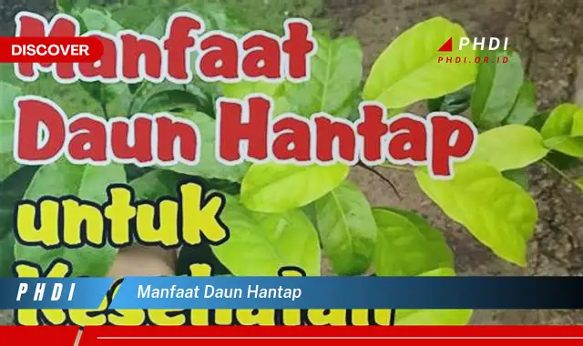 manfaat daun hantap