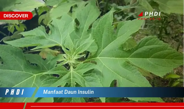 manfaat daun insulin