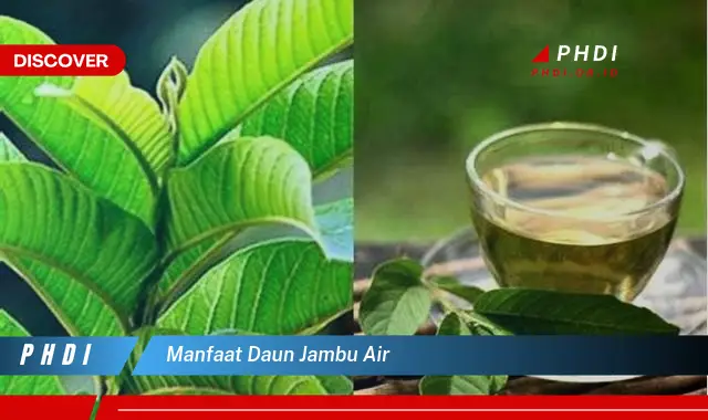 manfaat daun jambu air