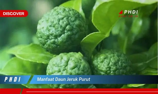 manfaat daun jeruk purut