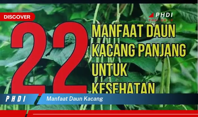 manfaat daun kacang