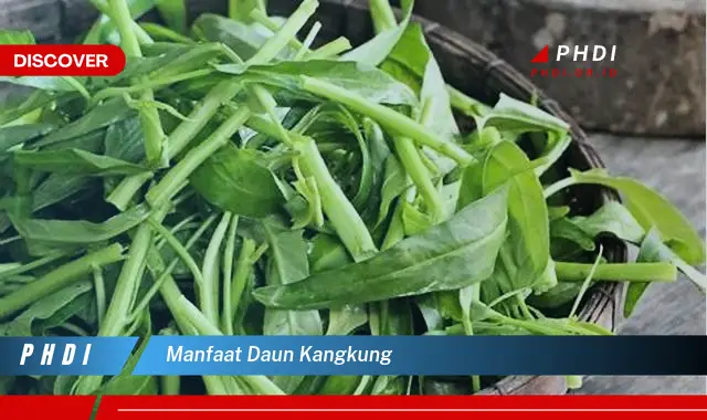 manfaat daun kangkung