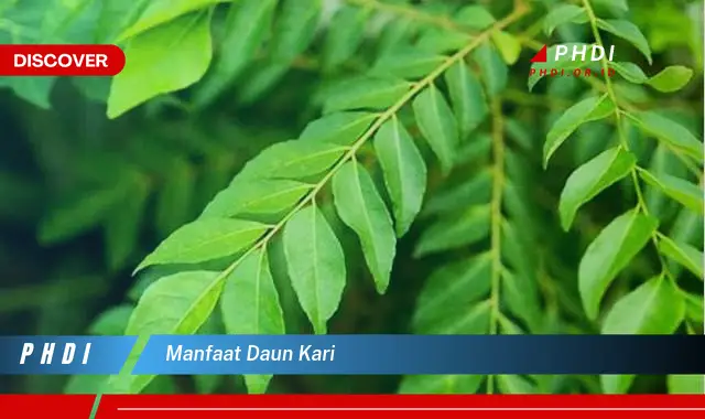 manfaat daun kari