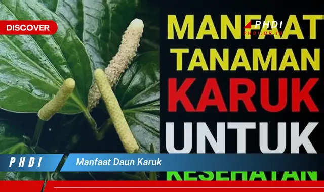 manfaat daun karuk