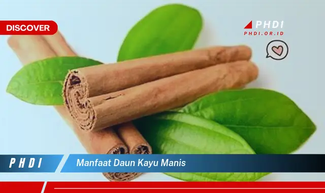 manfaat daun kayu manis