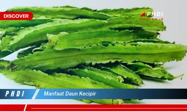 manfaat daun kecipir