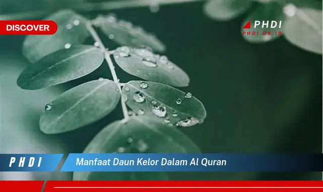 manfaat daun kelor dalam al quran