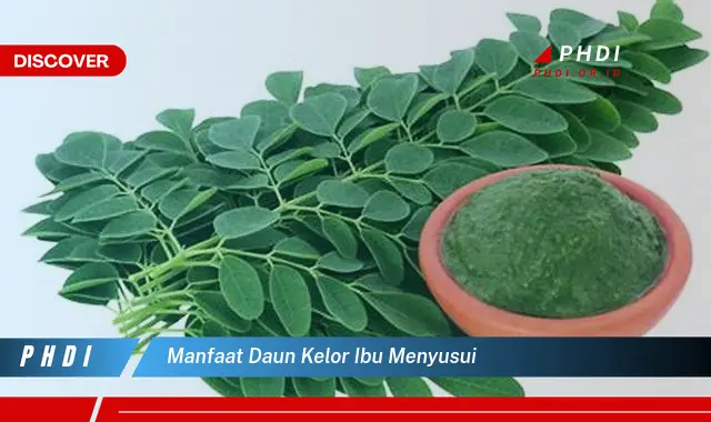 manfaat daun kelor ibu menyusui