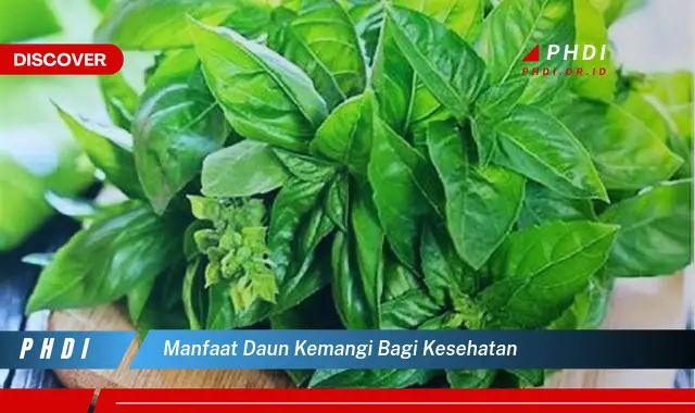 manfaat daun kemangi bagi kesehatan