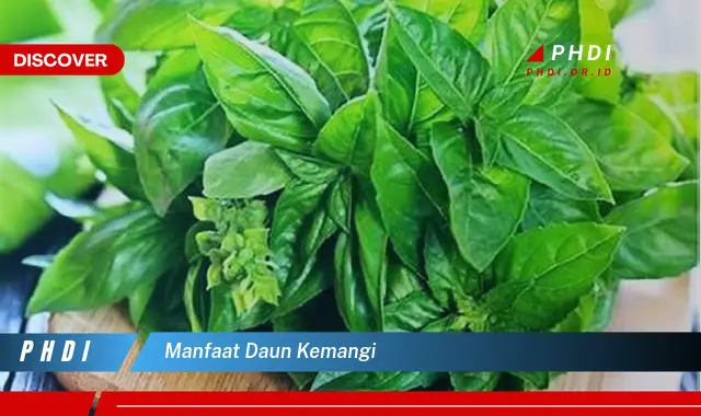 manfaat daun kemangi