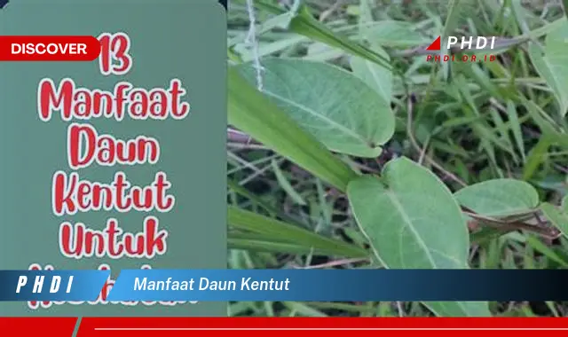 manfaat daun kentut