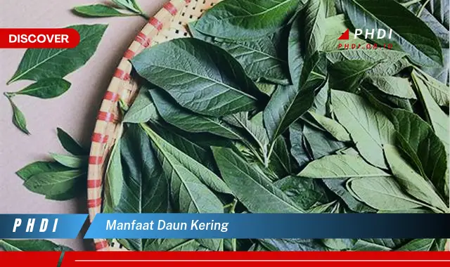 manfaat daun kering