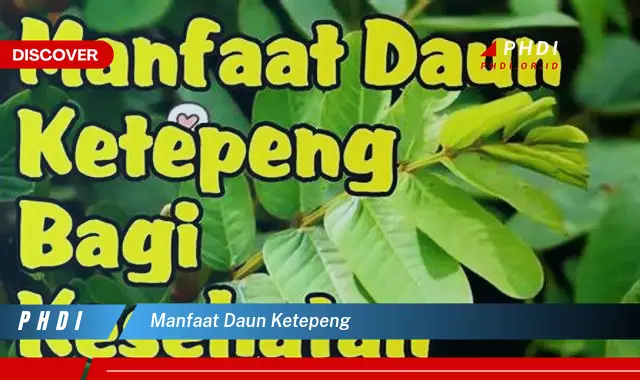 manfaat daun ketepeng