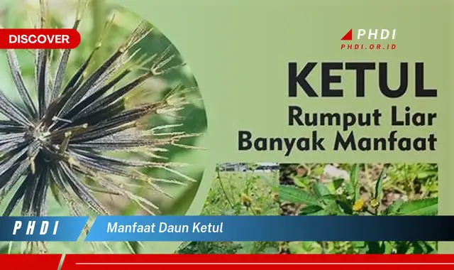 manfaat daun ketul