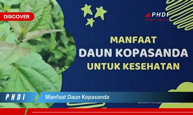 manfaat daun kopasanda