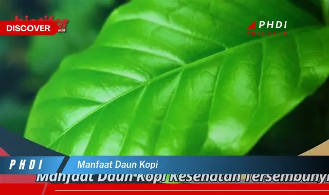 manfaat daun kopi