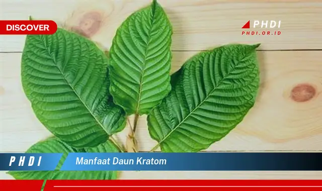 manfaat daun kratom