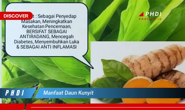 manfaat daun kunyit