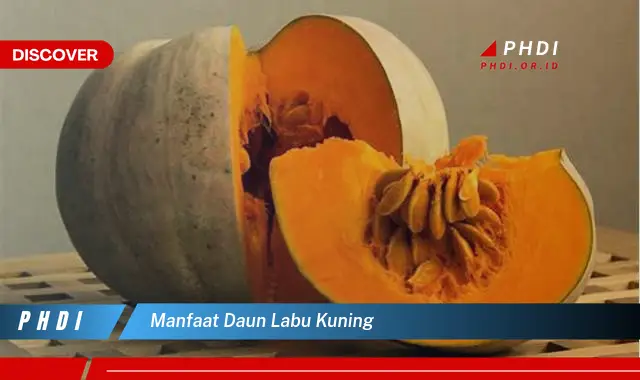 manfaat daun labu kuning