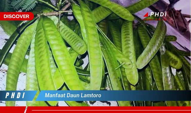 manfaat daun lamtoro