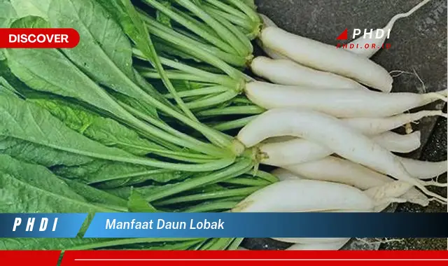 manfaat daun lobak