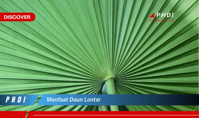 manfaat daun lontar