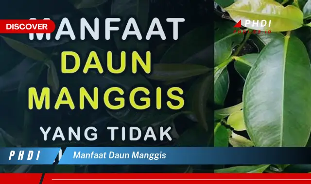 manfaat daun manggis