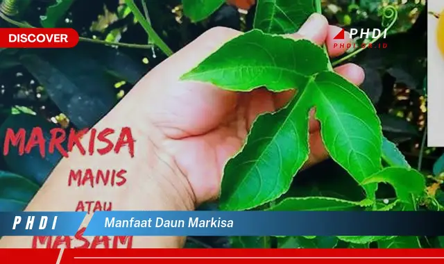 manfaat daun markisa