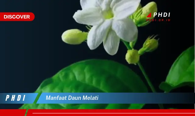 manfaat daun melati